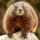 Vanmarmot's Travels Avatar