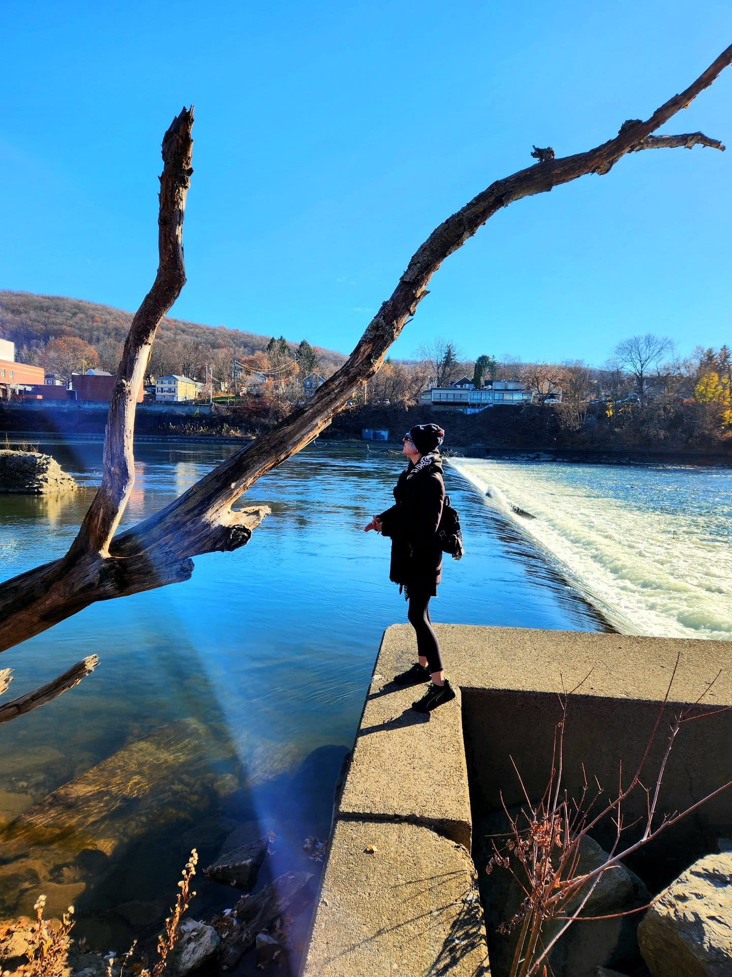 Free $25 credit to use on WordPress.com