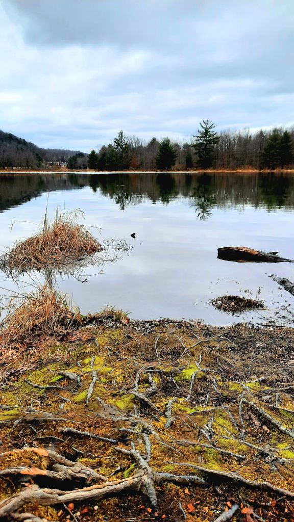 Clouds and trees reflected on the lake, hiking at Binghamton University Nature Preserve March 3, 2024 - 3/3 portal - Kae Audhild fitness, adventure blogging, alt lifestyle blogger - things to do in Binghamton New York