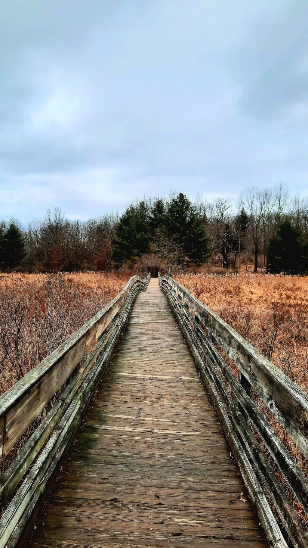 Binghamton University Nature&nbsp;Preserve