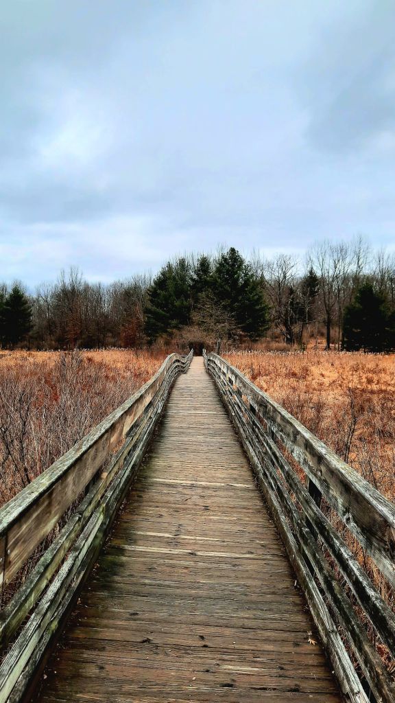 Wooden bridge through the wetlands, upstate NY hiking trails, wetland trail, hiking at Binghamton University Nature Preserve March 3, 2024 - 3/3 portal - Kae Audhild fitness, adventure blogging, alt lifestyle blogger - things to do in Binghamton New York