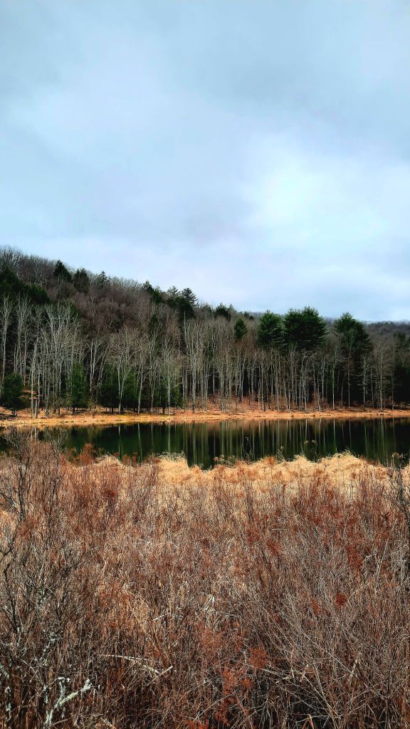 Lake reflections, hiking at Binghamton University Nature Preserve March 3, 2024 - 3/3 portal - Kae Audhild fitness, adventure blogging, alt lifestyle blogger - things to do in Binghamton New York