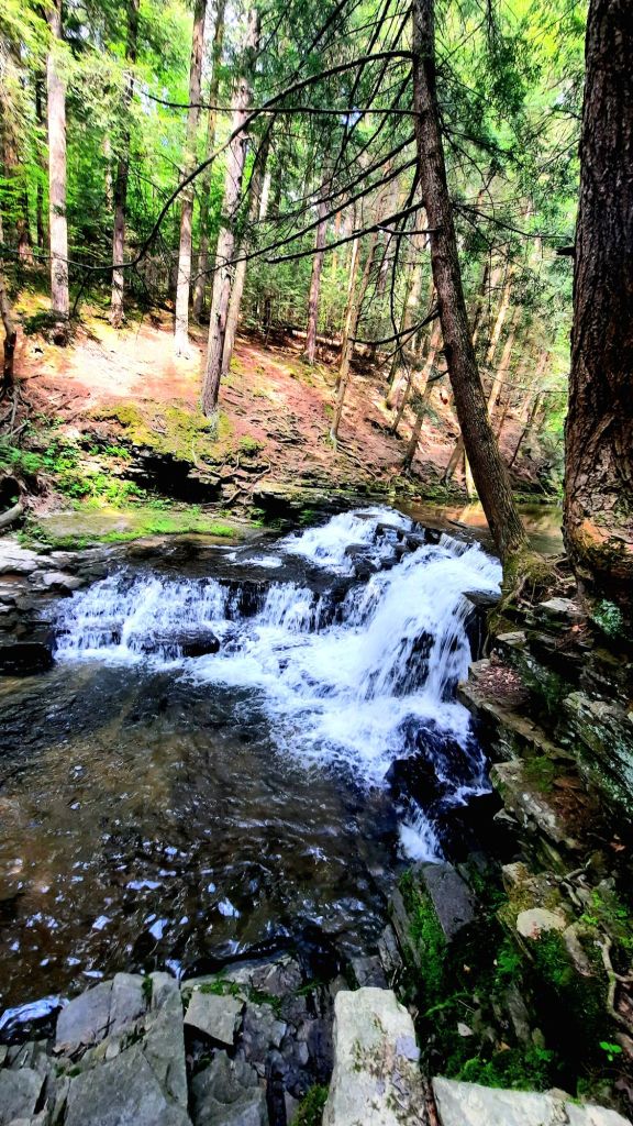 Upper falls at Salt Springs State Park in Montrose, Pennsylvania