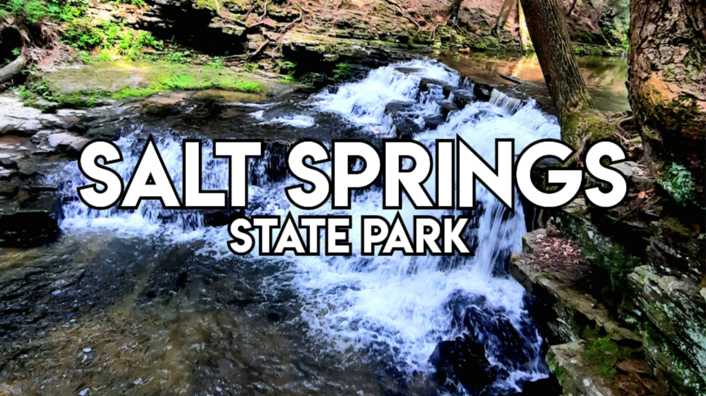 Salt Springs State Park in Montrose, PA 