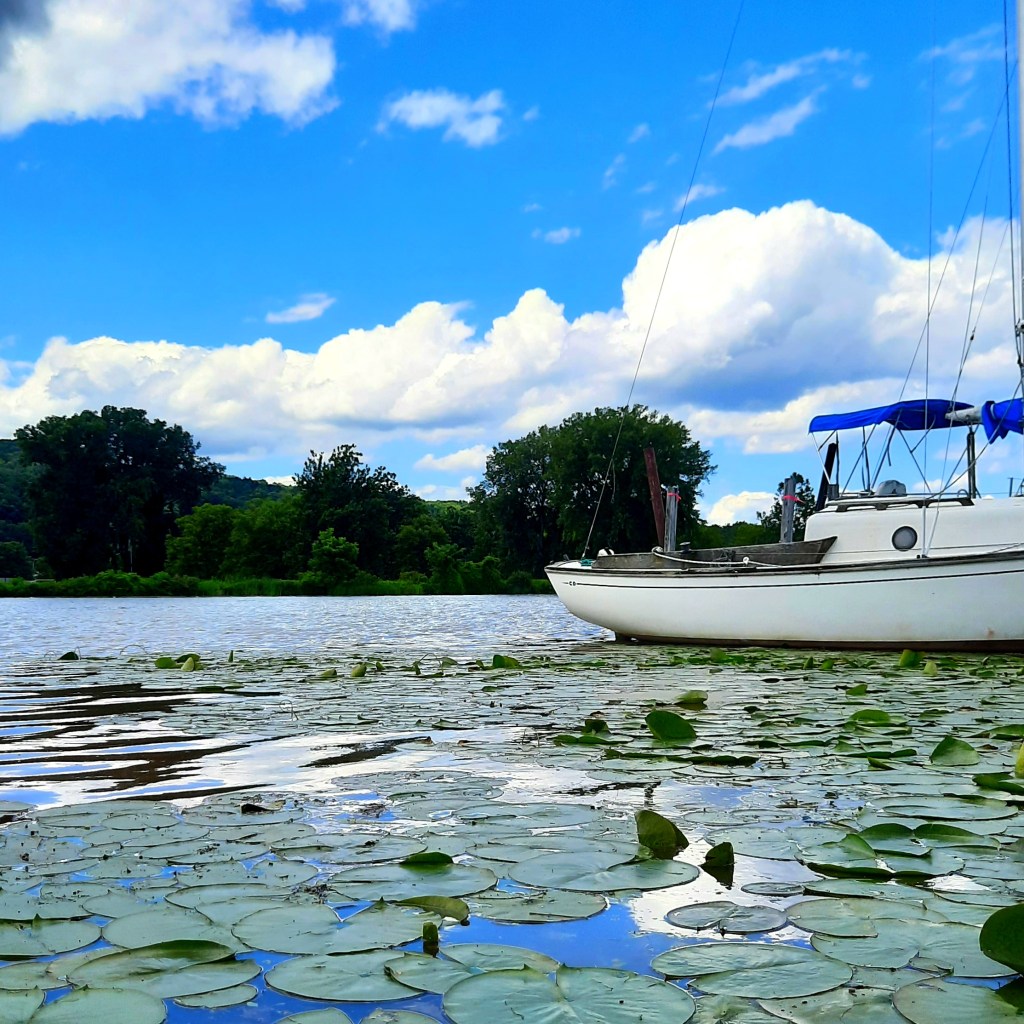 Healing Affirmation for Self Love &&nbsp;Confidence