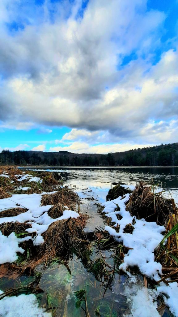Hawkins Pond in Windsor, New York | November 24, 2024 | after first snowfall of the season