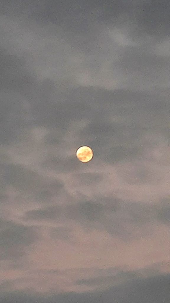 The nearly full Wolf Moon of January 2025, captured during sunset at Stewart Park in Ithaca, NY 