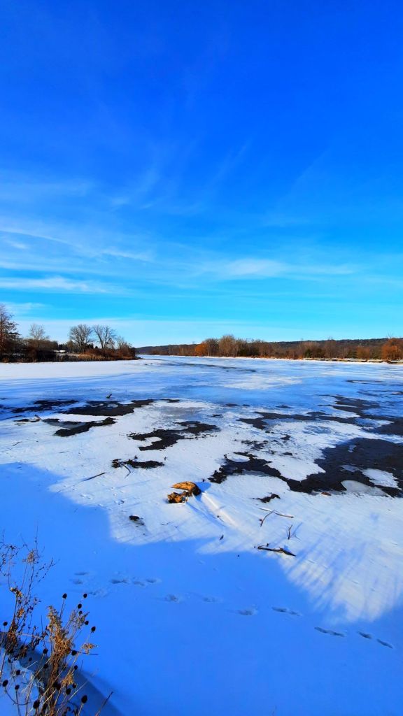 I think the inlet is just as beautiful in its frozen state as it is in mid-summer, just a lot colder. - Cayuga Lake inlet overlook - Ithaca ny