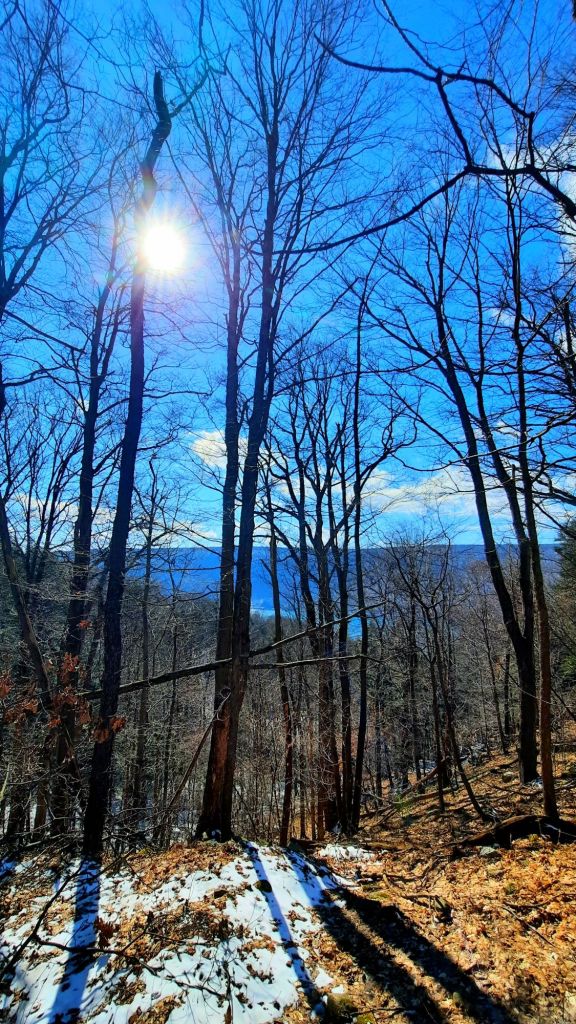 That's Skaneateles Lake in the background. You only get a partial view from the trails, and it'll be very different when the trees have leaves, but it sure is beautiful on a sunny day.