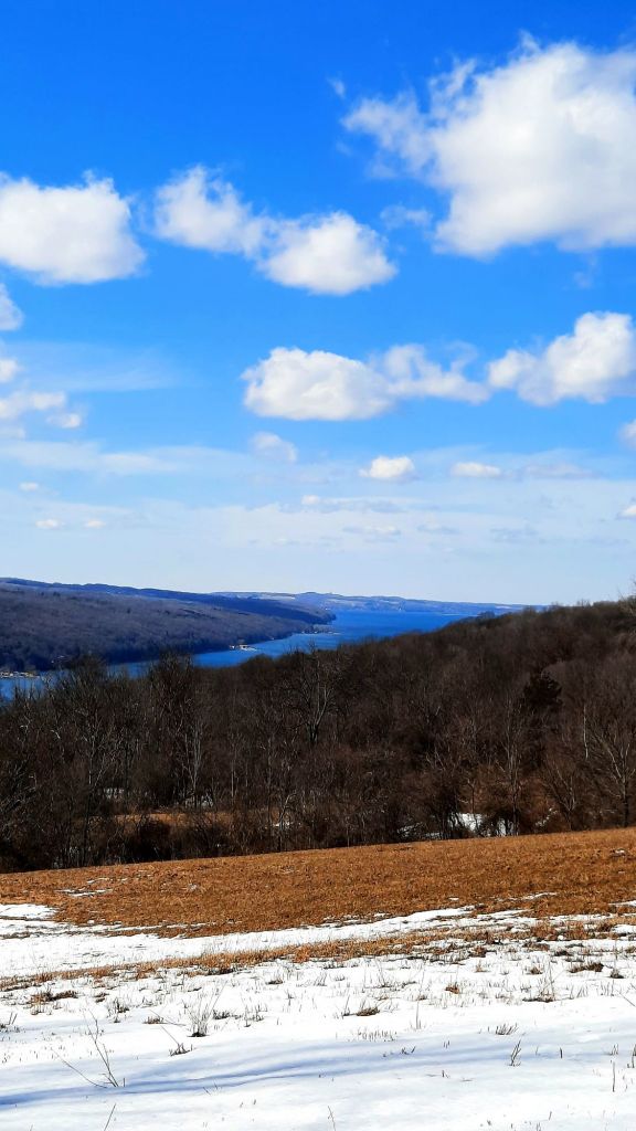 Skaneateles Lake view from Hinchcliff Family Preserve in Homer, NY