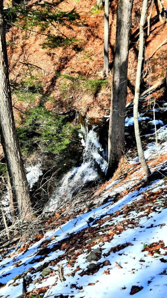 The topography here is quite steep, with several creeks flowing down into Skaneateles Lake below.. meaning lots of waterfalls!