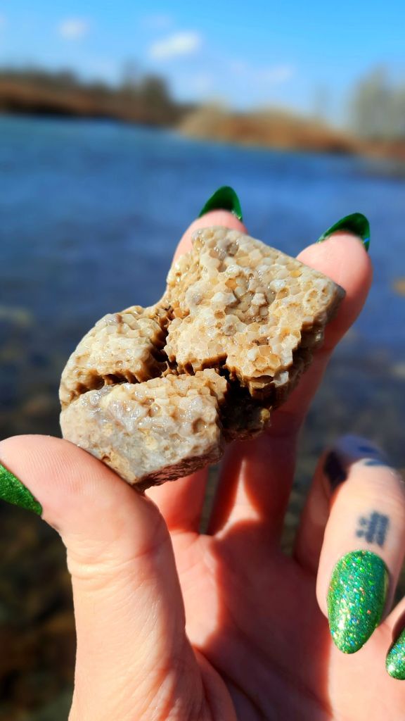 favosite (Devonian coral), aka Charlevoix stone