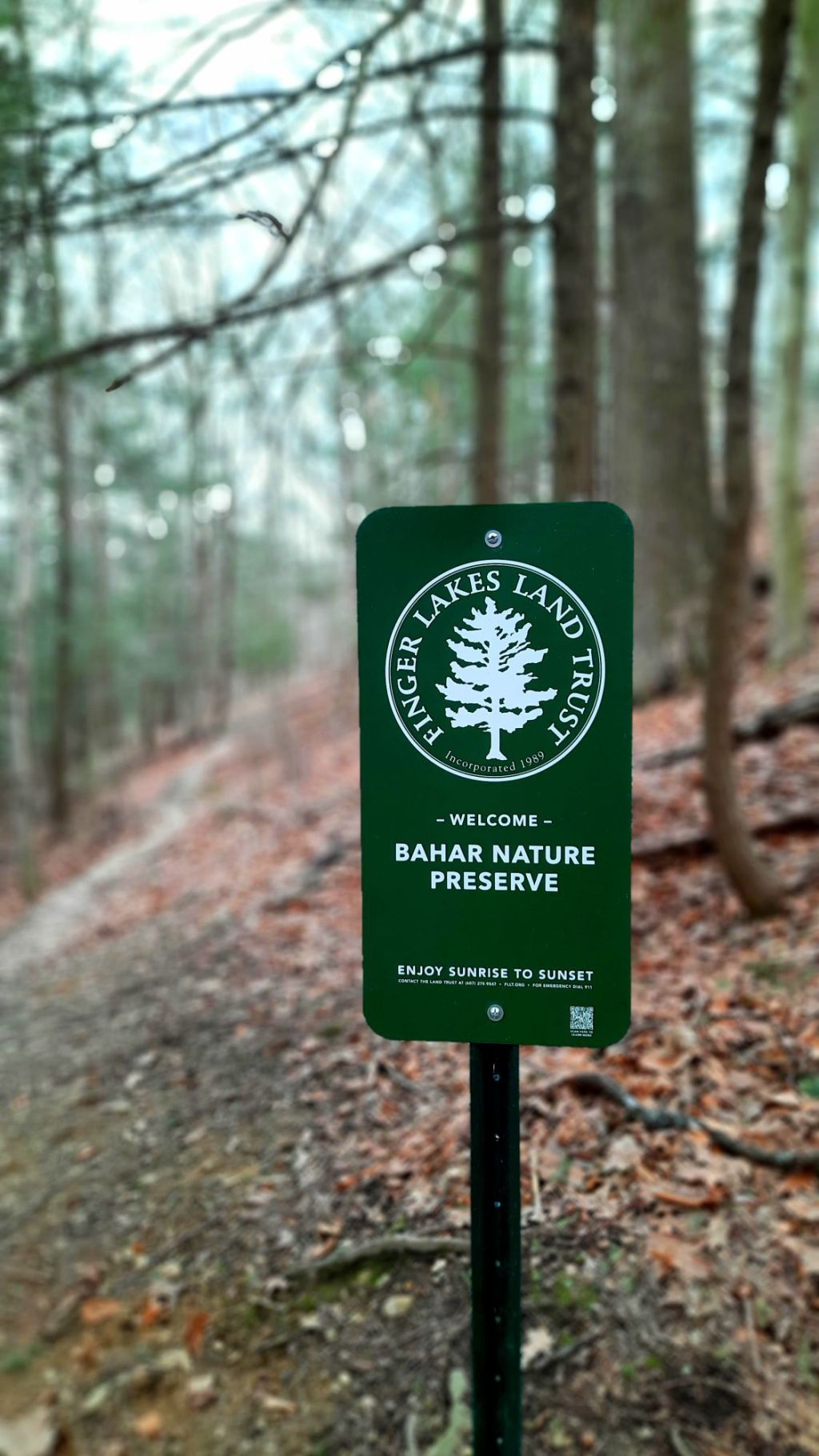 Carpenter Falls Unique Area, Bahar Nature Preserve & Skaneateles Lake – Niles,&nbsp;NY