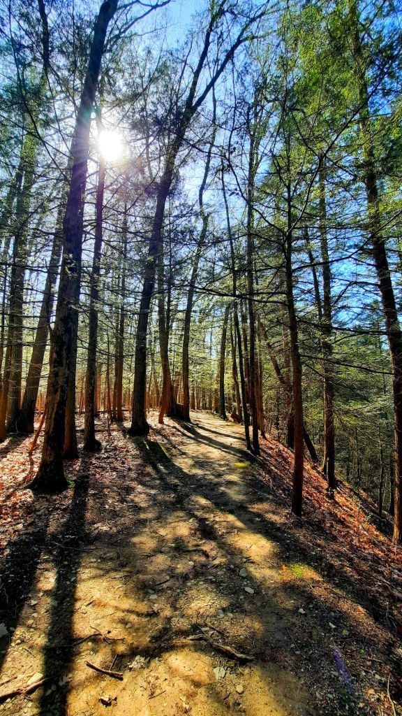 That bright springtime sun feels SO NICE after the cold New York winters. - hiking at Fillmore Glen State Park in Moravia, NY - CNY FLX outdoors hiking trails
