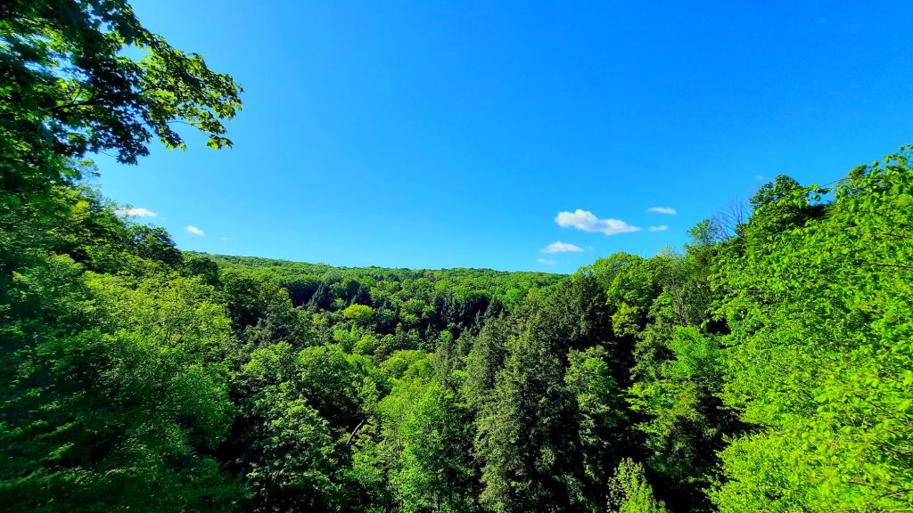 Pratt's Falls Park overlook Manlius, New York