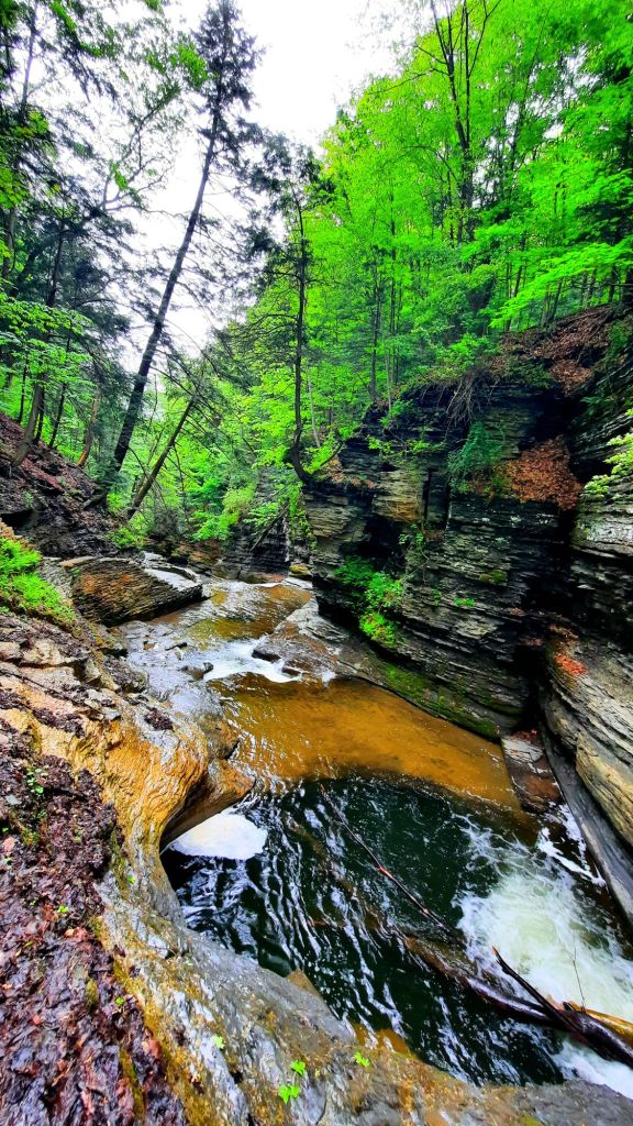View looking back at the gorge. I love the curved shapes of the rocks, carved out by water over time. Buttermilk Falls State Park gorge in Ithaca, New York , FLX finger Lakes waterfalls hiking trails