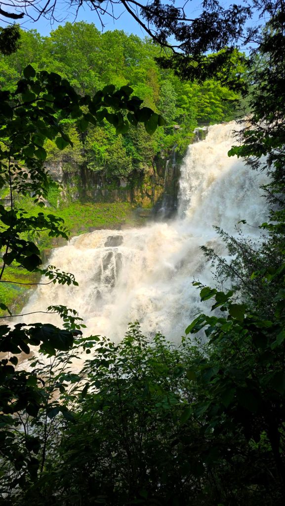 View of Chittenango Falls from the halfway point overlook.