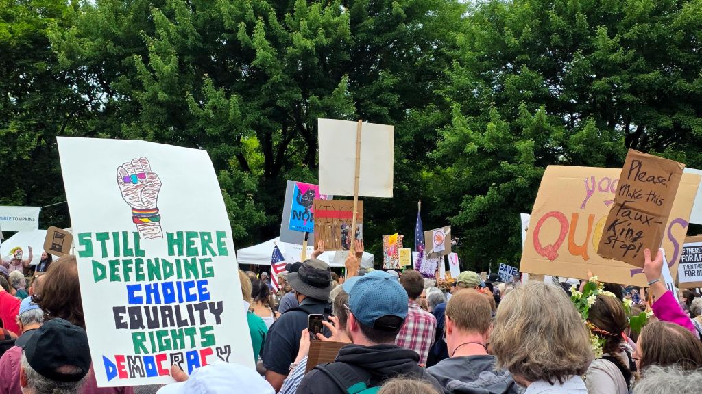 No Kings day protest rally at Washington Park in Ithaca, New York on June 14, 2025 - the people are protesting the tyrannical president Donald j trump by holding rallies all across the US instead of watching his pathetic birthday parade. Defend democracy, protest against fascism
