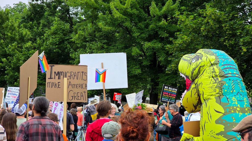 No Kings day protest rally at Washington Park in Ithaca, New York on June 14, 2025 - the people are protesting the tyrannical president Donald j trump by holding rallies all across the US instead of watching his pathetic birthday parade. Defend democracy, protest against fascism