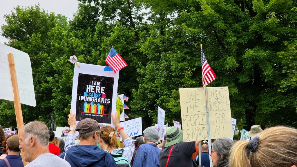 No Kings day protest rally at Washington Park in Ithaca, New York on June 14, 2025 - the people are protesting the tyrannical president Donald j trump by holding rallies all across the US instead of watching his pathetic birthday parade. Defend democracy, protest against fascism