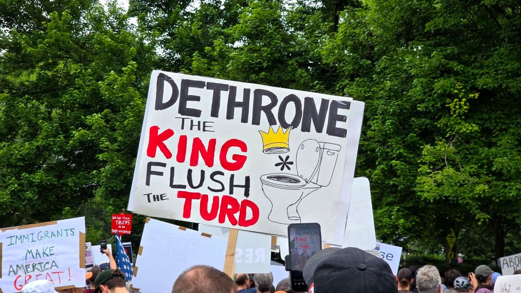 No Kings day protest rally at Washington Park in Ithaca, New York on June 14, 2025 - the people are protesting the tyrannical president Donald j trump by holding rallies all across the US instead of watching his pathetic birthday parade. Defend democracy, protest against fascism