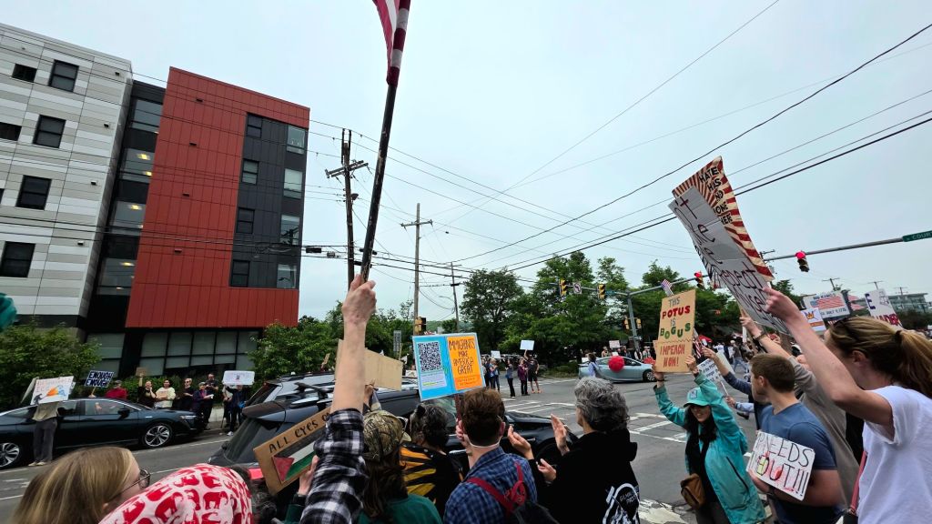 No Kings day protest rally at Washington Park in Ithaca, New York on June 14, 2025 - the people are protesting the tyrannical president Donald j trump by holding rallies all across the US instead of watching his pathetic birthday parade. Defend democracy, protest against fascism