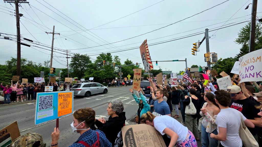 No Kings day protest rally at Washington Park in Ithaca, New York on June 14, 2025 - the people are protesting the tyrannical president Donald j trump by holding rallies all across the US instead of watching his pathetic birthday parade. Defend democracy, protest against fascism