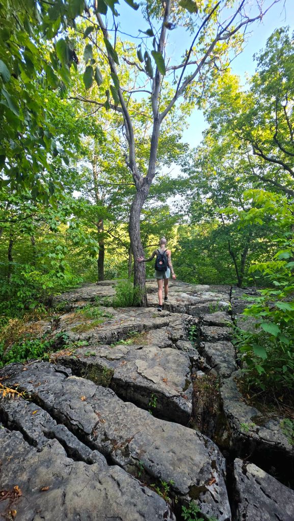 Three Falls Woods Manlius NY limestone karst topography - Karst topography is a landscape shaped by the dissolution of soluble bedrock, primarily limestone, dolomite, and gypsum. It's characterized by features like sinkholes, caves, springs, and underground drainage systems. This unique landscape forms when slightly acidic groundwater dissolves the bedrock over long periods, creating intricate subsurface features. 