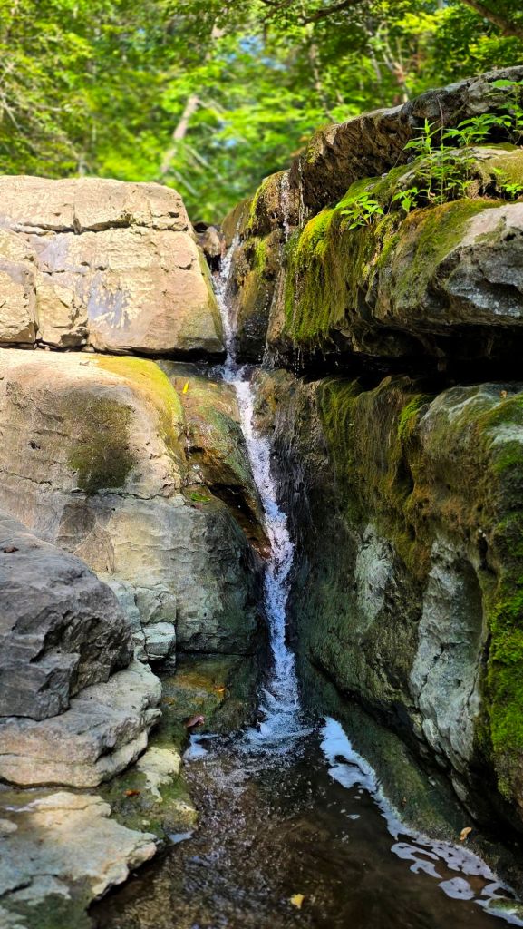 A small stream of water flowing between the rocks at the top of Pocket Falls in Lansing, NY