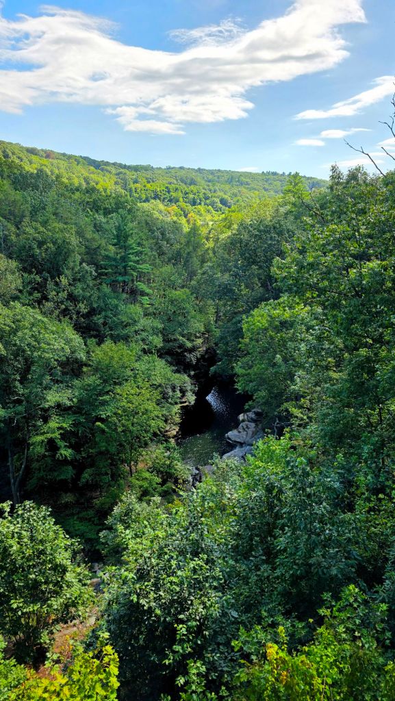 View from the David Wenzel Treehouse at Nay Aug Park in Scranton PA