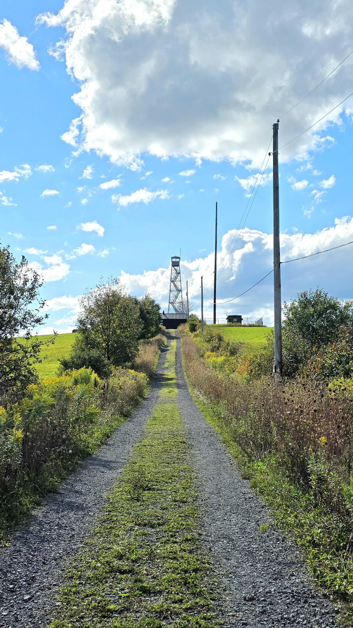 Bowman Lake State Park to Berry Hill Fire Tower (Finger Lakes Trail) – Oxford / Norwich, NY