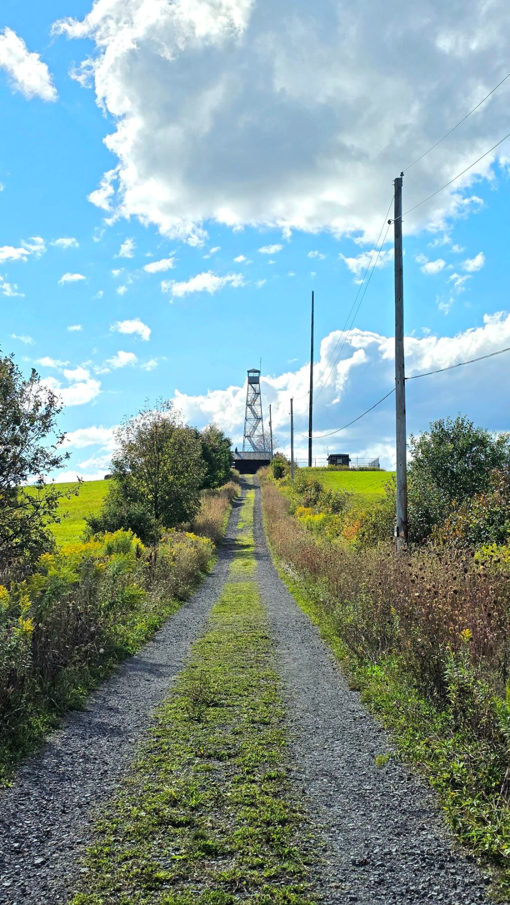 Bowman Lake State Park to Berry Hill Fire Tower (Finger Lakes Trail) – Oxford / Norwich,&nbsp;NY