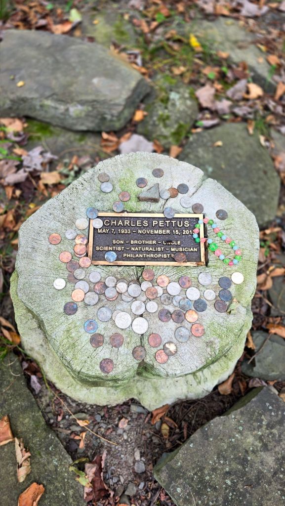 Charles Pettus grave monument memorial pyramid in Windsor NY pettus Hill Preserve
