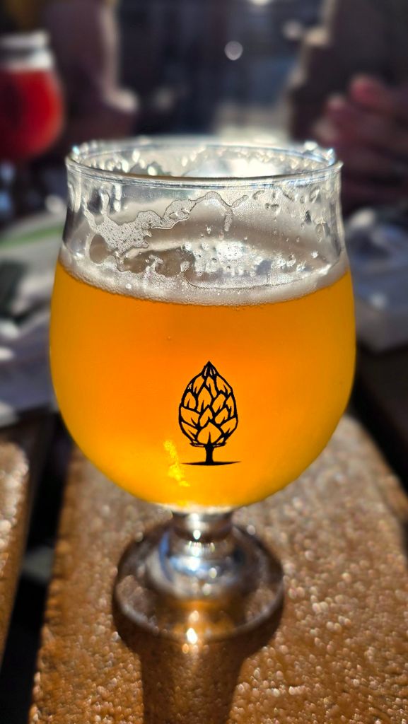 Double orange pineapple beer at Factory by Beer Tree Brew in Johnson City, NY
