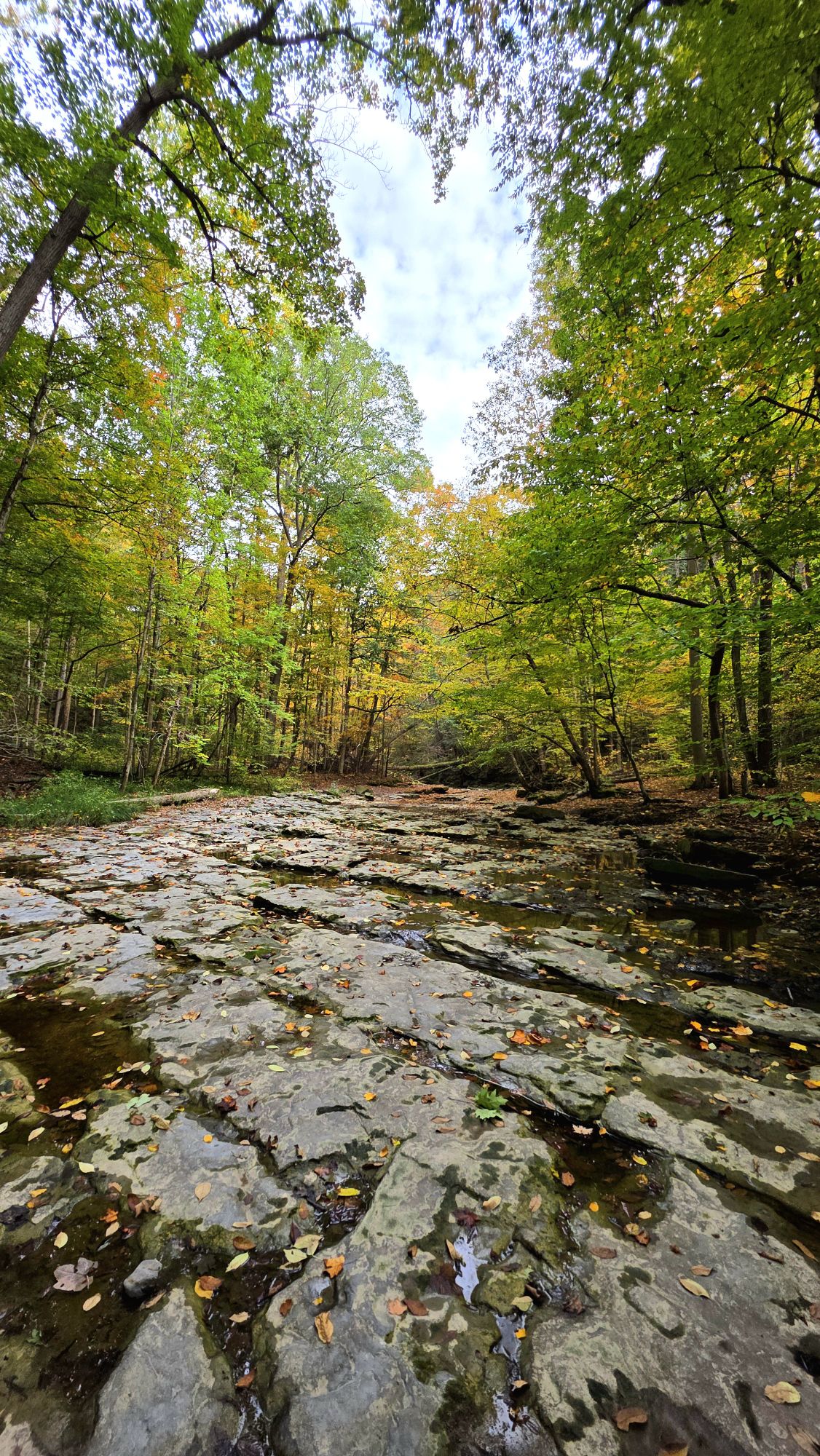 Great Gully – Union Springs, NY