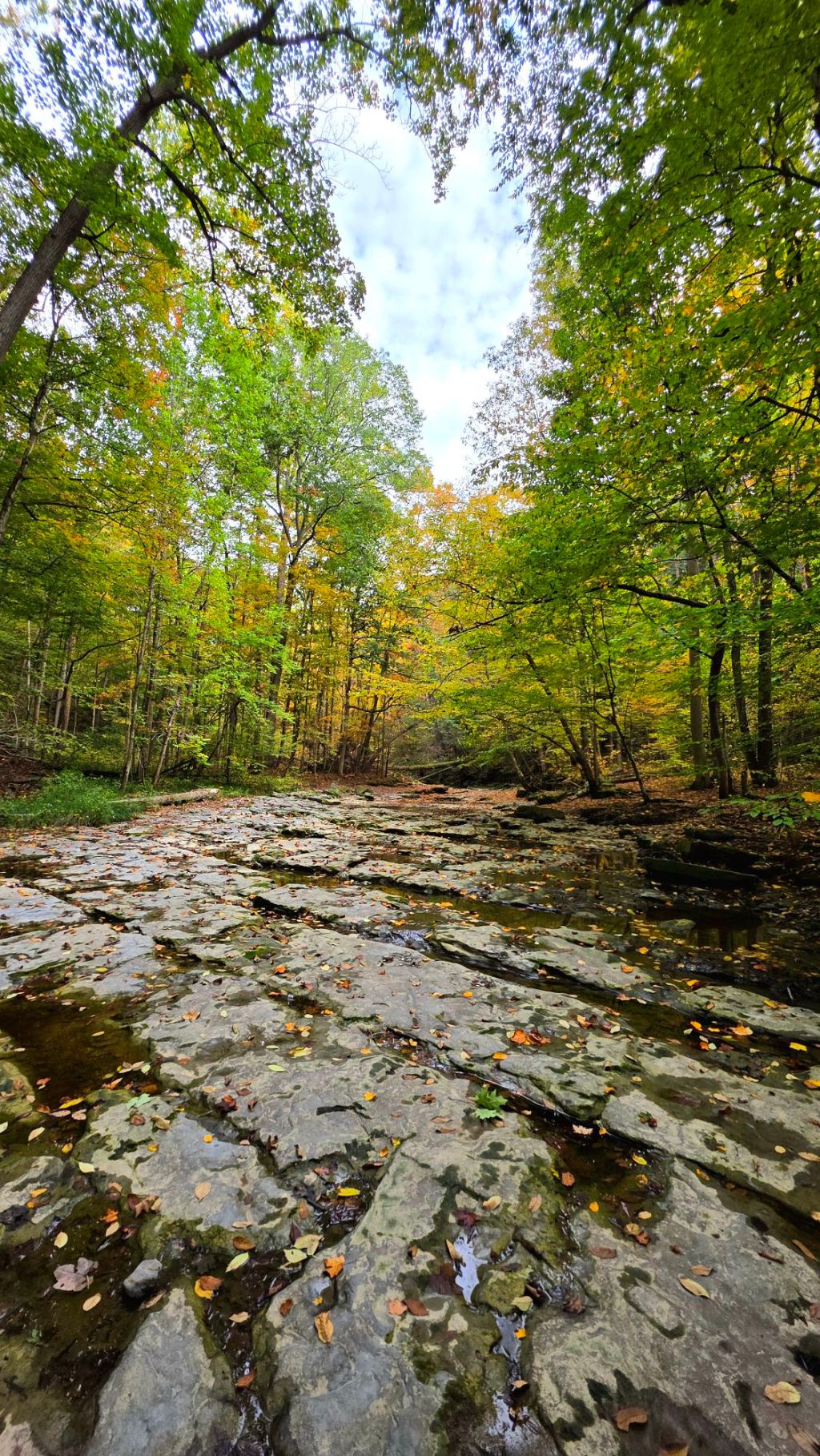 Great Gully – Union Springs,&nbsp;NY