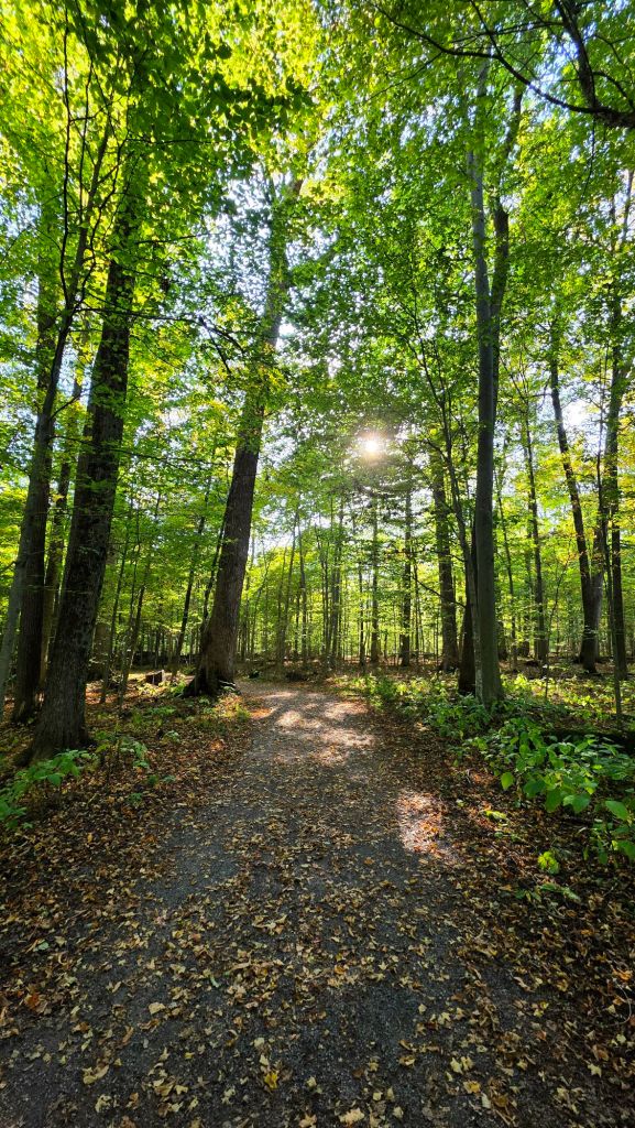 Kirkland Glen Trails at Hamilton College in Kirkland, NY