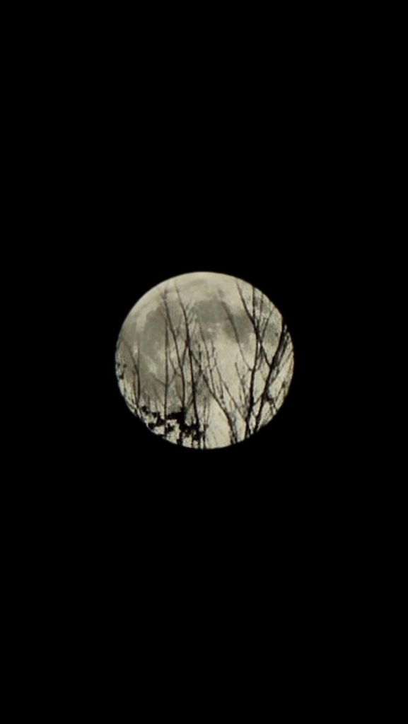 Super Full Moon October 6, 2025 Harvest Moon