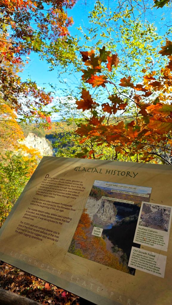 Glacial history information of gorge / young canyon at Letchworth State Park