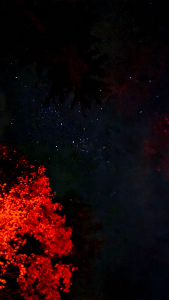 Campfire under the stars at Letchworth State Park