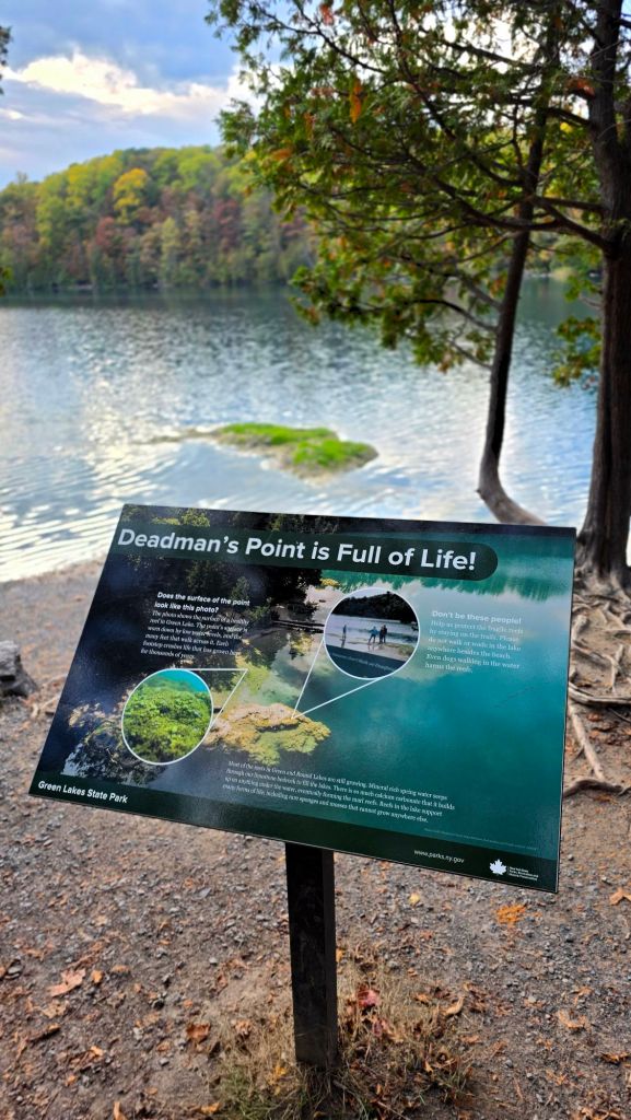 Deadman's Point info sign - Green Lakes State Park in Fayetteville, NY - freshwater reefs in central New York