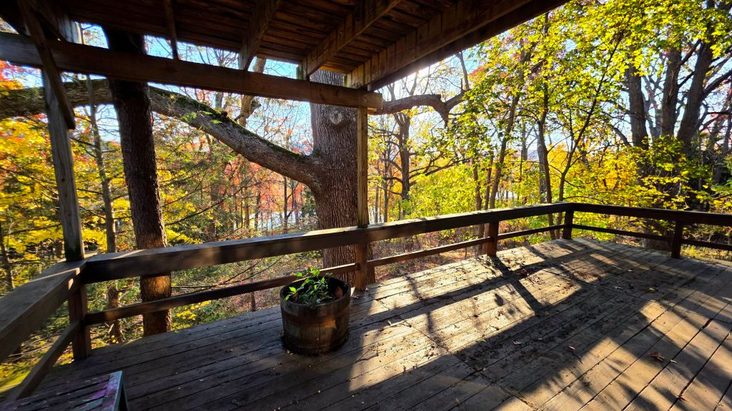 Beautiful forested waterfront view from Kae's patio during autumn November 2025