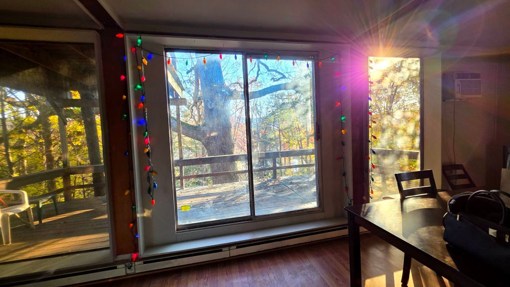 Back facing windows with Christmas lights