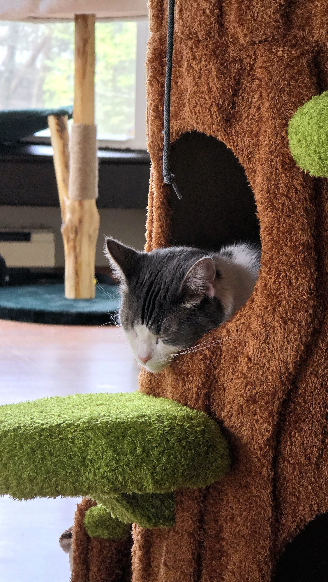 Gratitude #26 – November 2025