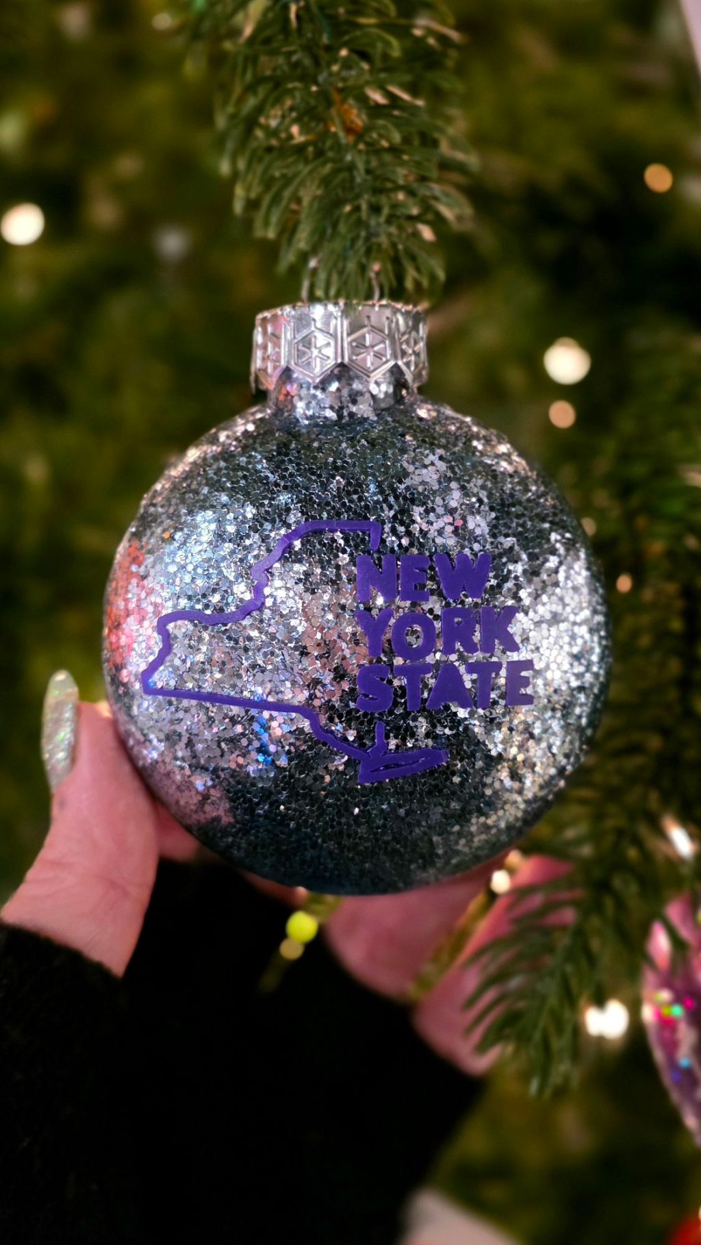 Home for the Holidays 2025 at Roberson Museum – Binghamton, NY