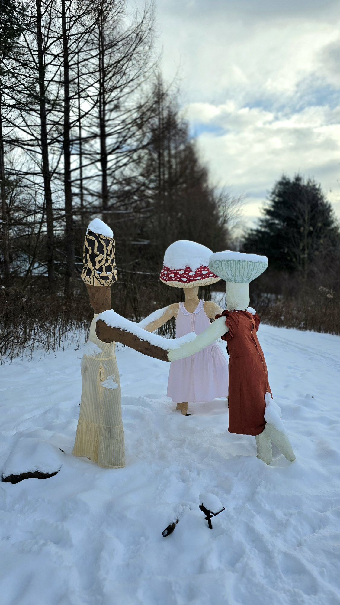 Lime Hollow Nature Center – Cortland, NY