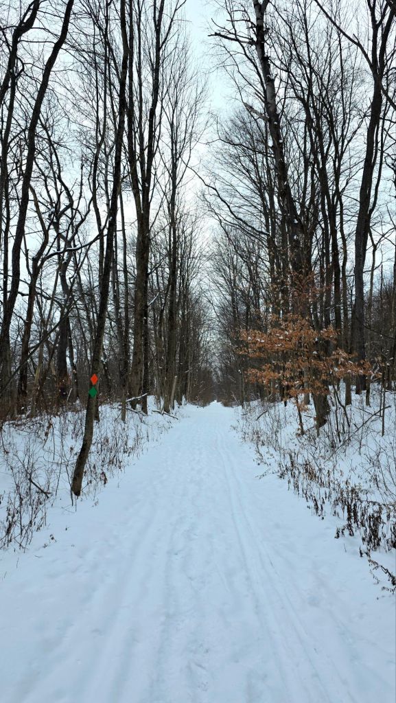 Leigh Valley Trail at Lime Hollow Nature Center in Cortland NY 