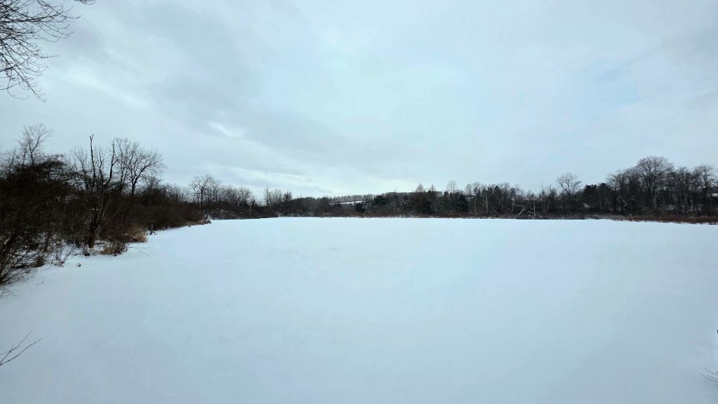 Baldwin pond covered with snow at Lime Hollow Nature Center in Cortland NY - winter hiking in the FLX 