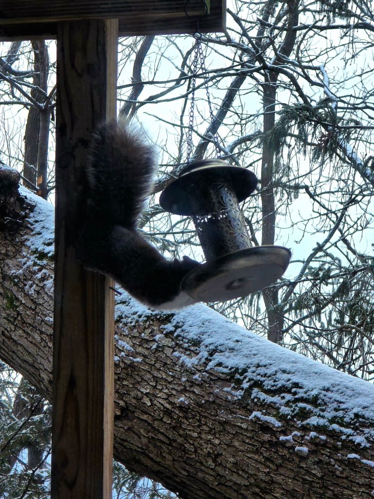 Squirrel hanging from a post and eating bird seed from a hanging metal solar bird feeder in winter