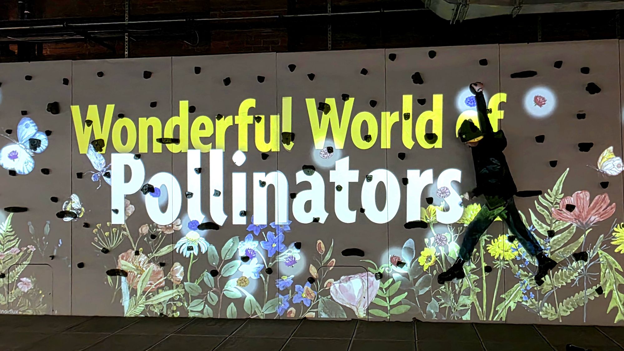 Escaping the Cold at the Museum of Science & Technology (MOST) in Syracuse, NY ❄️🔬